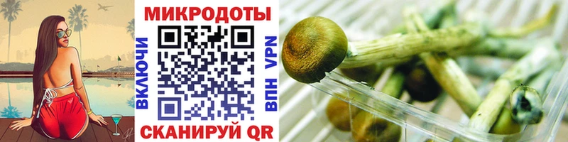 Галлюциногенные грибы Psilocybe  omg рабочий сайт  Палласовка 