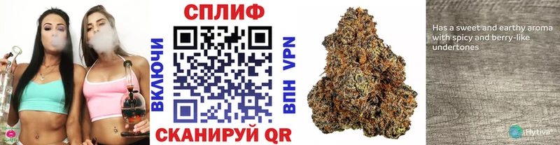 МАРИХУАНА планчик  Палласовка 